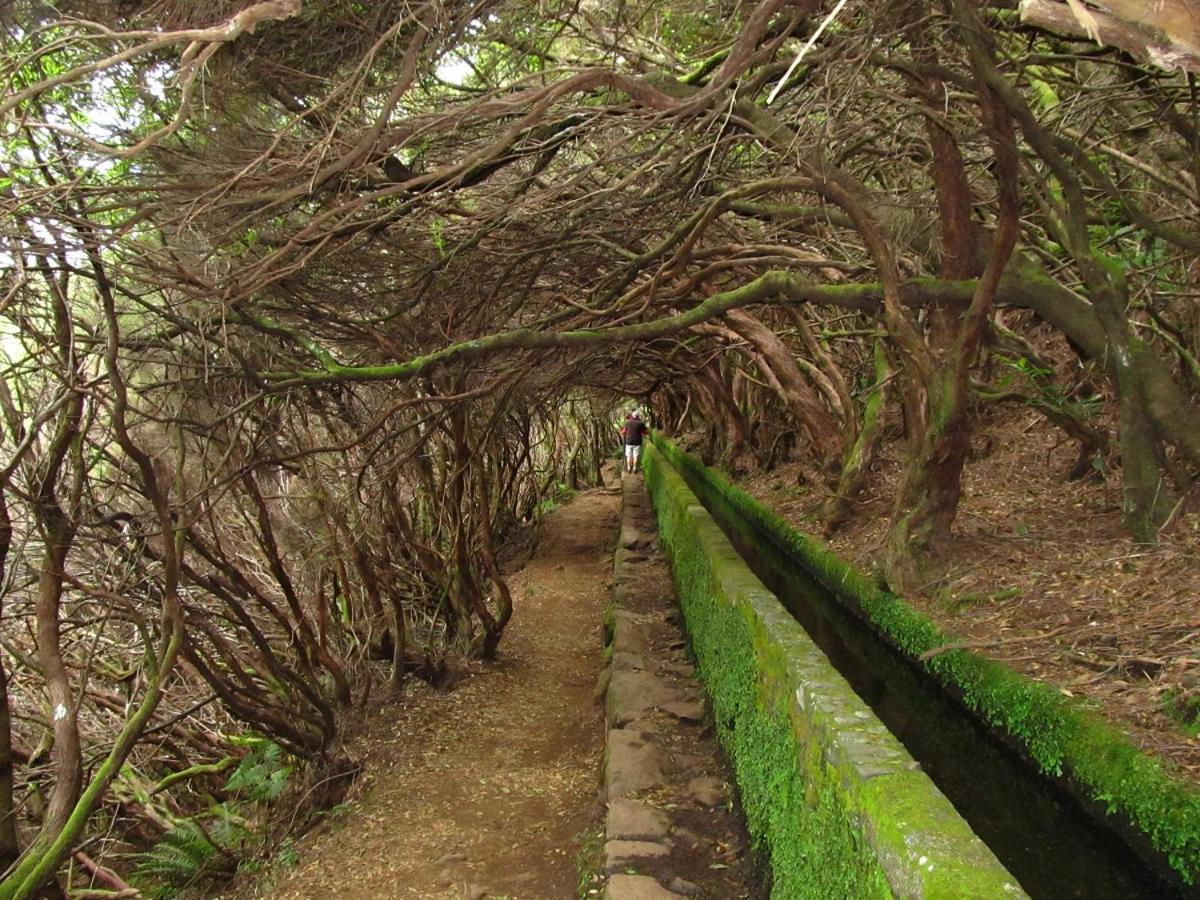 Beautiful View 1 - Arco Da Calheta - Ilha Da Madeira Daire Dış mekan fotoğraf
