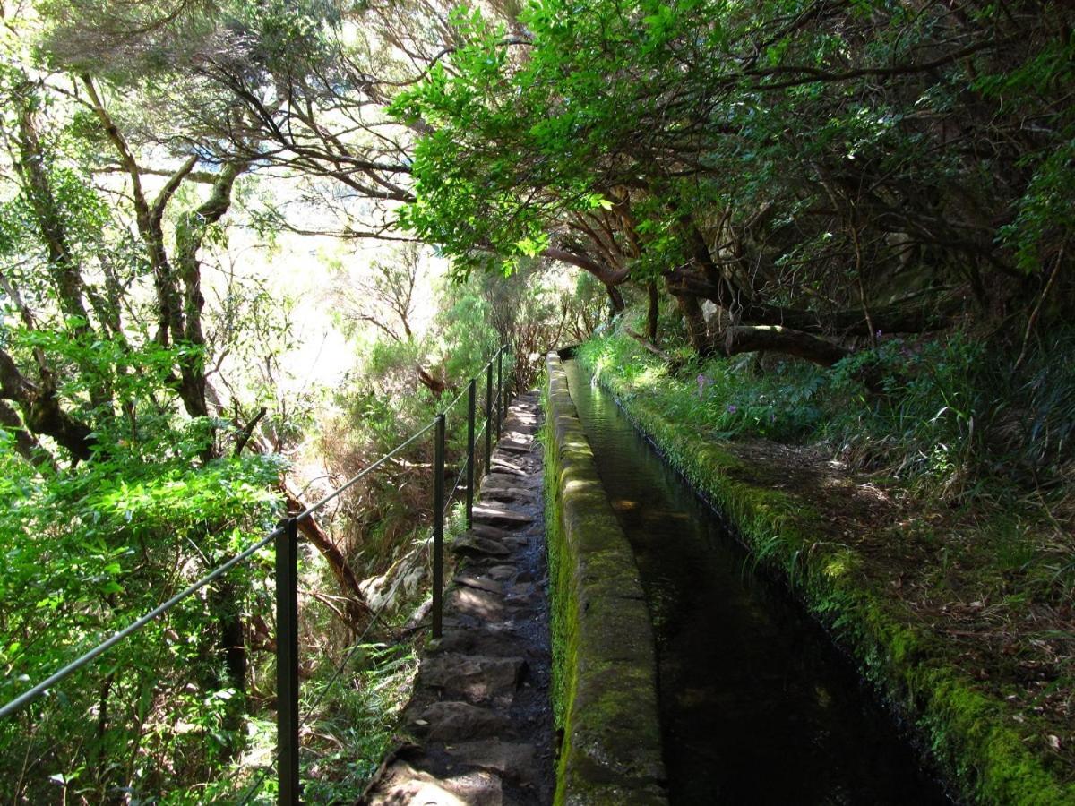 Beautiful View 1 - Arco Da Calheta - Ilha Da Madeira Daire Dış mekan fotoğraf